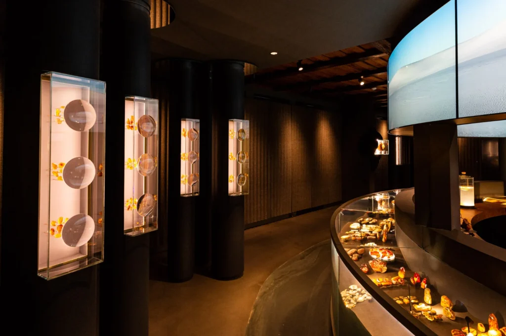 Ką veikti Nidoje žiemą apartamentai ir nakvynė Nidoje poilsis Nidoje