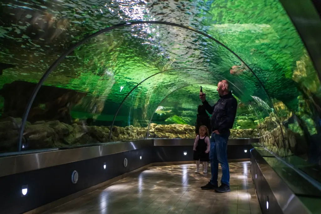 Delfinariumas lankytinos vietos Nidoje Poilsis Nidoje apartamentai ir nakvynė
